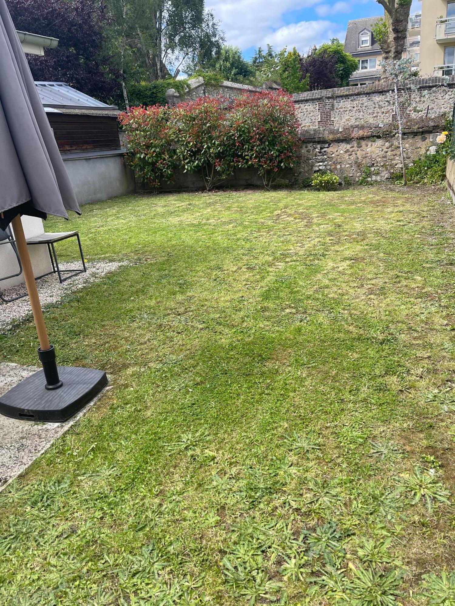 Le Nid Douillet : Superbe Appartement + Jardin Privatif Rouen Exteriör bild